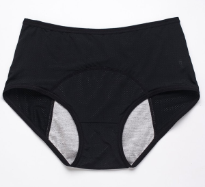 Women's nylon high-waisted panties