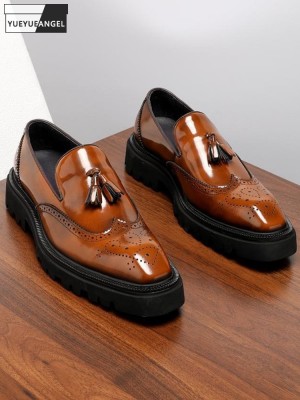 sapatos de couro apontados pelos homens, cobra de cor s ólida
